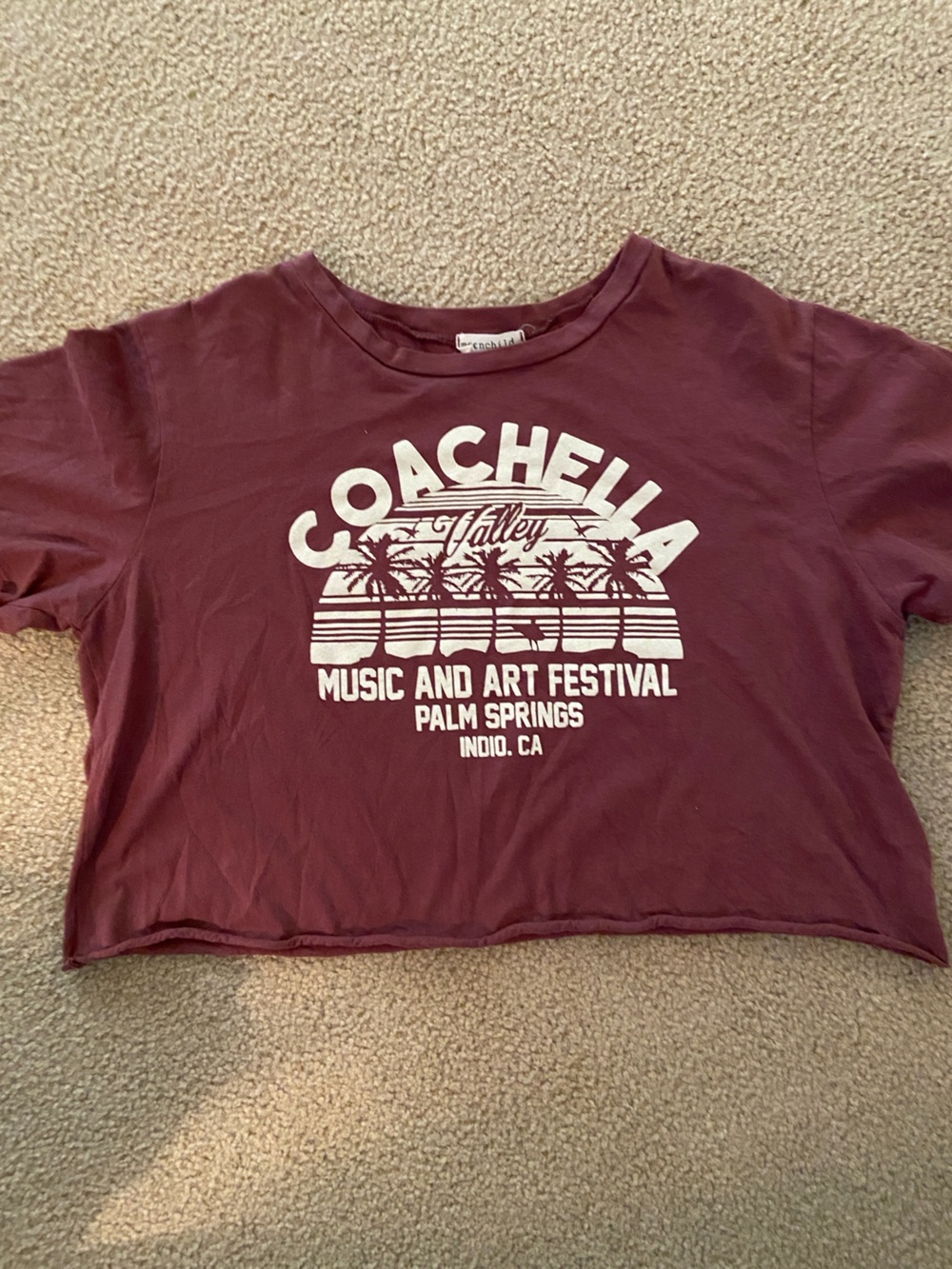 Coachella Valley cropped T-shirt